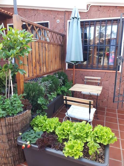 Apartamento Tranquilo En Una Casa Con Jardin La Laguna  Exterior photo