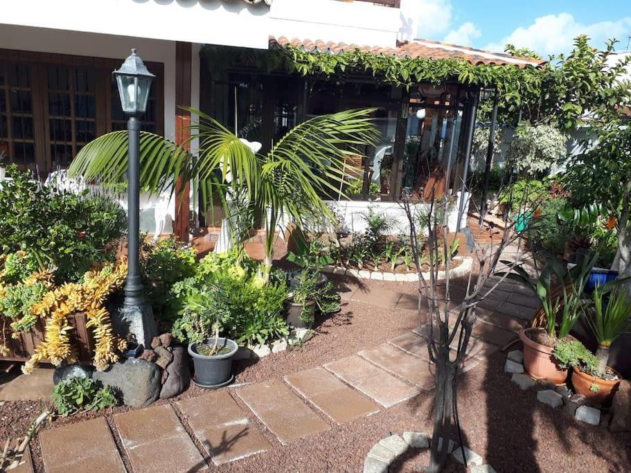 Apartamento Tranquilo En Una Casa Con Jardin La Laguna  Exterior photo